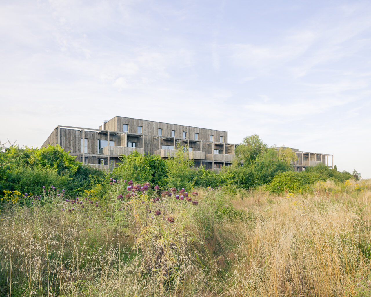 2407-Quintessence-34LGTS-Loom architectes-Angers-Francois Dantart-Non libre de droits-Exterieurs-2M-20
